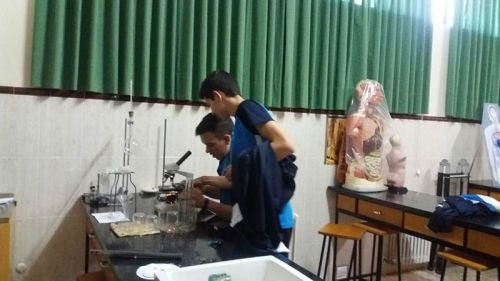 Grupo de jóvenes realizando un experimento en uno de los laboratorios del aula de ciencias